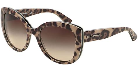 dolce and gabbana leopard glasses|dolce and gabbana glasses men's.